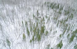 Parcel C Ticonderoga Trail, Hackensack, MN 56452