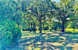 424 N Main Street, Cross Plains, TX 76443