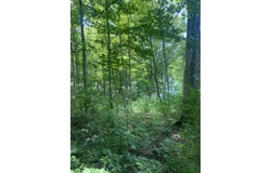 0 Columbine Drive, Carlisle, KY 40311