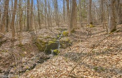 L9.113 Lutheranville Road, Summit, NY 12175