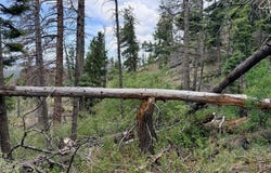 Spanish Peaks Dr, Aguilar, CO 81020
