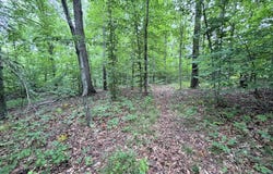 120 Troy Avenue, Stanford, KY 40484