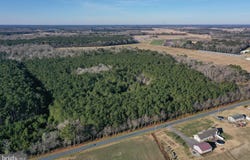 BENT PINE Road, WILLARDS, MD 21874