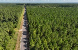 1 State Road 3205, Oakdale, LA 71463