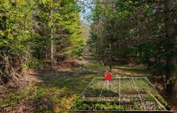 Lot 2 W Pendills Lake Road, Brimley, MI 49715