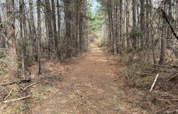 Berwick Cassels Road, Gloster, MS 39638