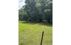 18520 N HIGHWAY 329, REDDICK, FL 32686