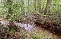 FOX Ln, Savannah, TN 38372