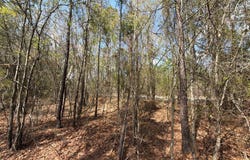 Cva 9 Archie Ware Road, Ridge Spring, SC 29129