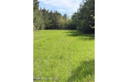 Chathaw Path, Smithdale, MS 39664