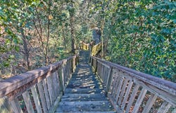 Mayhaw Drive, Columbia, SC 29206