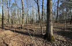 00 Ironwood Drive, Saulsbury, TN 38067