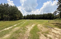AR 172 Highway, Monticello, AR 71655