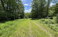 OFF TUSCAN RIDGE RD, DAVIS, WV 26260