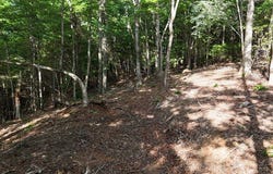 Tr 2 New Hope Road E, Ellijay, GA 30536