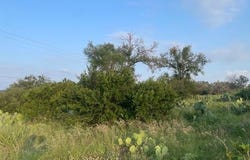 Lot 23 Cr 140, Burnet, TX 78611