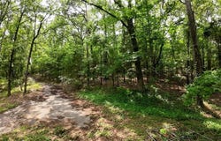 000 Long Gum  LN, Russellville, AR 72802
