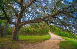 103 Misty Waters, Boerne, TX 78006