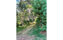 1005 Roberts Branch Road, Marshall, NC 28753