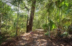 0 Pine Island Rd, Ponte Vedra, FL 32081