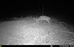 Highland Road, Murray, KY 42071