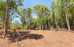 148 Berry Road lot: 12A, Barnesville, GA 30204