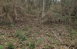 Cherokee Tr, Seymour, TN 37865
