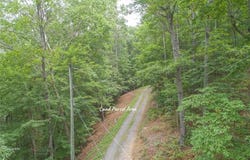 0 Deer Lane, Ellijay, GA 30549