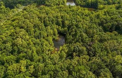 County Rd 500 E, Sullivan, IN 47882