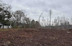 TBD Highway 905, Conway, SC 29526