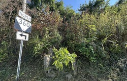 Carringer Circle, Tellico Plains, TN 37385