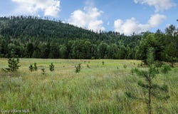 253 Shiloh Lp, Naples, ID 83847