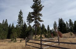 Ranger Rd, Goldendale, WA 98620