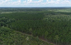 0 Fire Tower Road, Manor, GA 31550