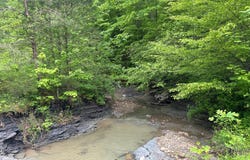 275 Horns River Road Road, Irvine, KY 40336