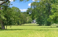 1010 St Delight Road, Paige, TX 78659