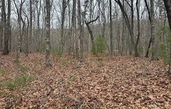 Marrestop, MURPHY, NC 28906