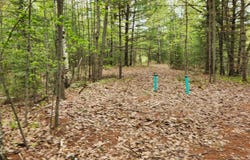 N9752 WASKO LANE, Wausaukee, City of, WI 54143