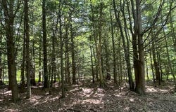 204 Bauer Rd, Averill Park, NY 12018