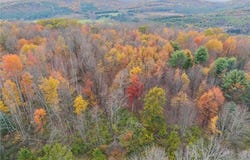 Dawson Hill Road, Spencer, NY 14883