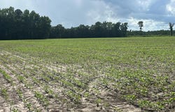 527 Tbd Hwy 527, New Zion, SC 29111