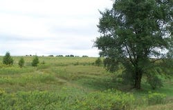 Lot 3 E Morseville, STOCKTON, IL 61085