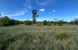 Polk Road 178, Mena, AR 71953