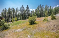 302 Northern Lights Drive, Whitefish, MT 59937