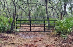 10.06 Acres On Julienton Road NE, Townsend, GA 31331
