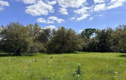000 Loose Cow Road, Garwood, TX 77442