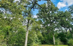 10559 Hampton Court, Iola, TX 77861
