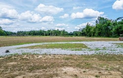 809 Oxford Loop, NEW ALBANY, MS 38652