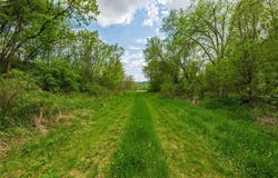 0 145 Avenue, Plum City, WI 54761