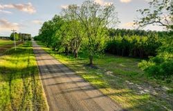 3.32+/- Acres County Road 515, New Brockton, AL 36323